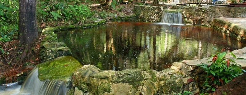  Amazon Ecopark - piscina - 
