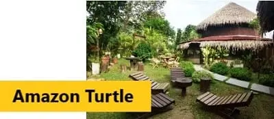 Amazon Turtle Lodge - Clique para mais informações e tarifas